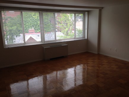 Natural light should be a key consideration for your new place.